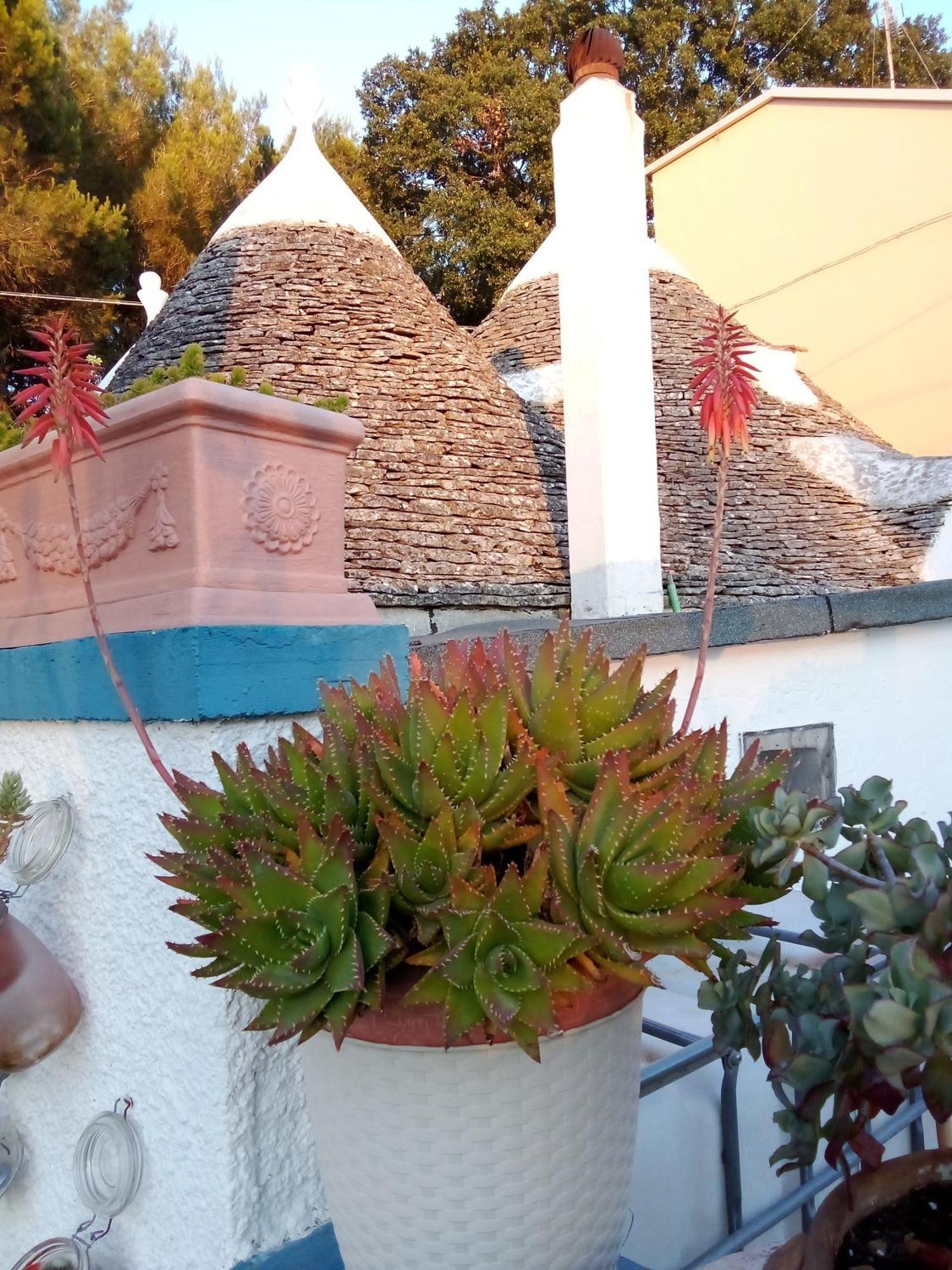 Casa Da Luisa Countryhouse Noci Kültér fotó